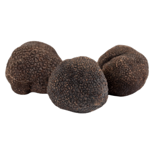 Black Truffle