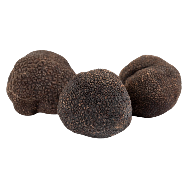 Black Truffle