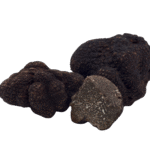 Black Winter Truffle