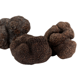 Black Truffle - Görsel 3