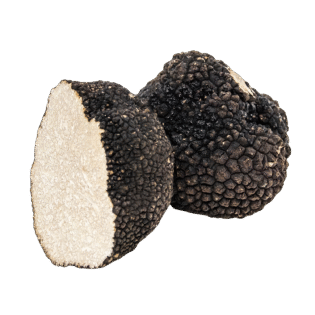 Tuber Aestivum - Summer Truffle - Görsel 3