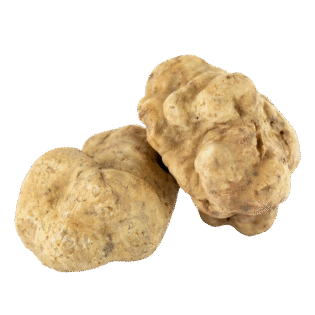 White Truffle - Görsel 2