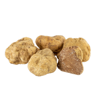 White Truffle - Görsel 3