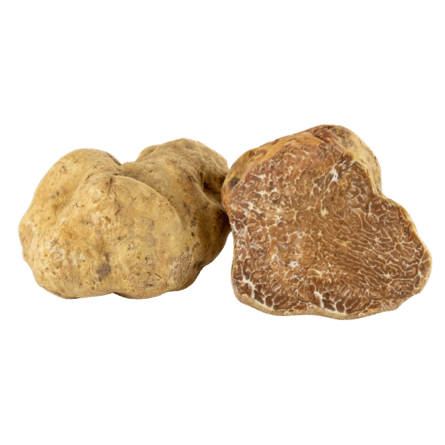White Truffle