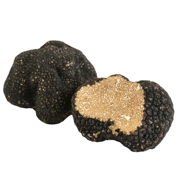 Tuber Aestivum - Summer Truffle