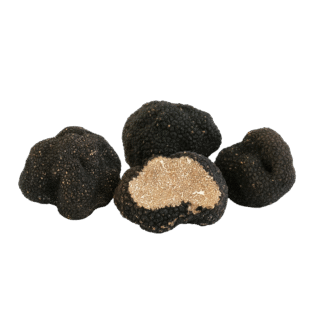 Tuber Aestivum - Summer Truffle - Görsel 2