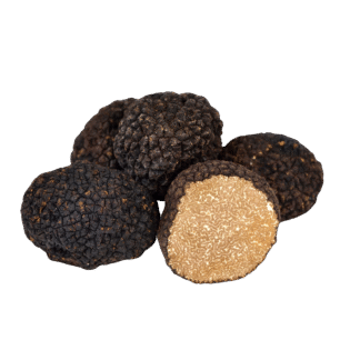 Tuber Aestivum - Summer Truffle - Görsel 4